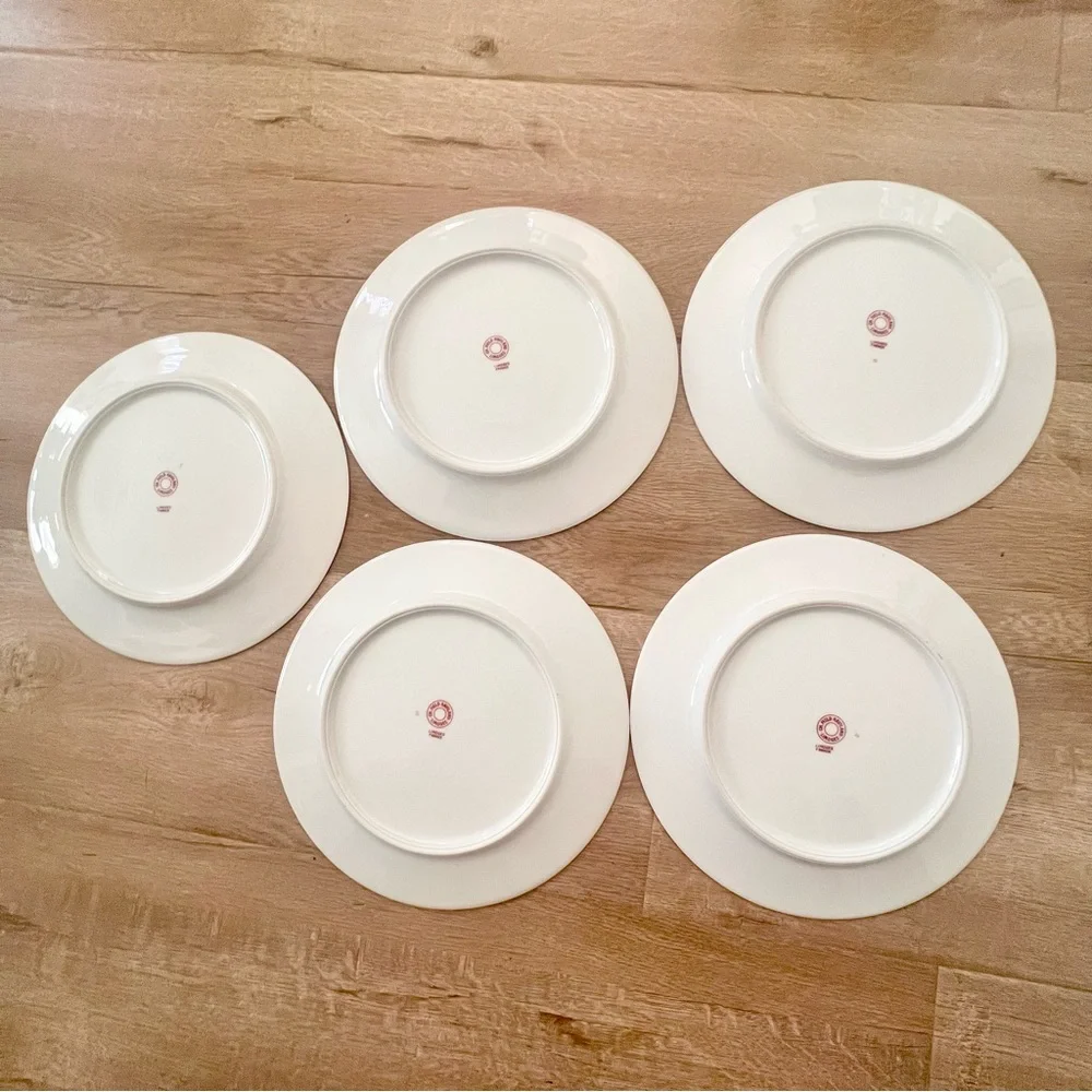 5 PCs Charles Field Haviland Limoges Spring Blossom Dinner Plates 10